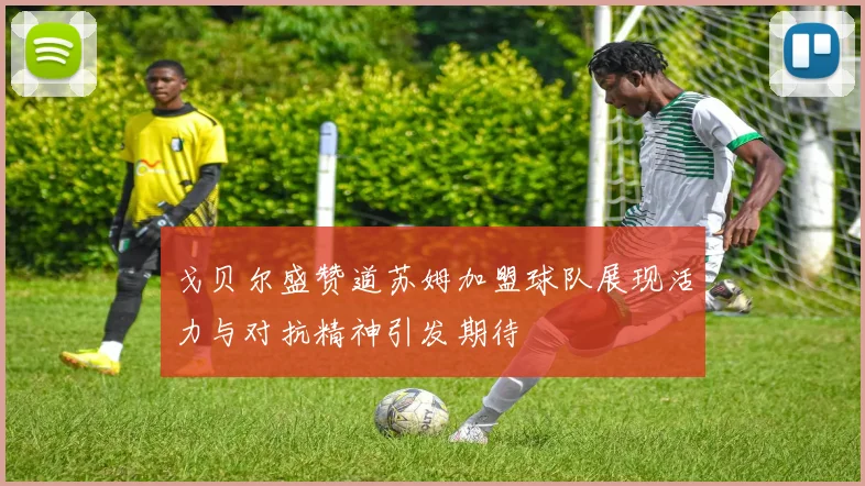 戈贝尔盛赞道苏姆加盟球队展现活力与对抗精神引发期待