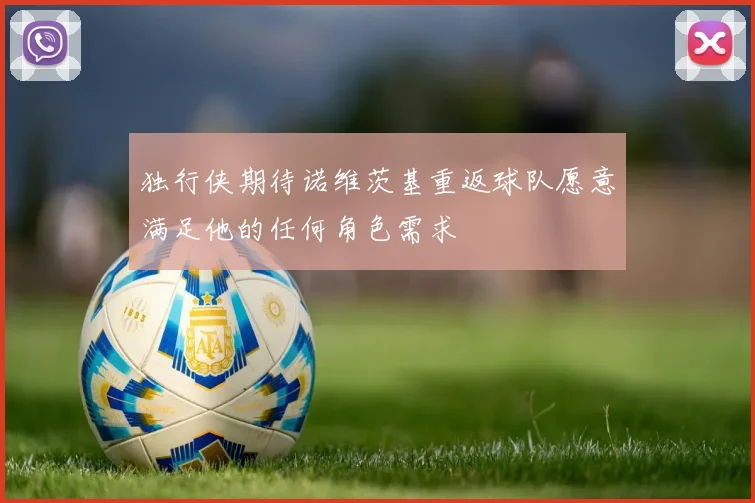 独行侠期待诺维茨基重返球队愿意满足他的任何角色需求