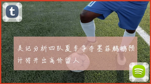 美记分析四队夏季争夺墨菲鹈鹕预计将开出高价留人